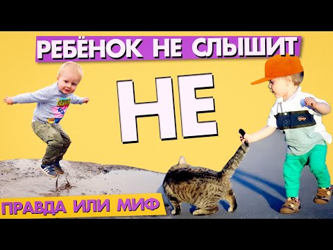 Видео: Ребенок не слышит «НЕТ»: правда или миф?