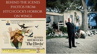 The Birds 1963 - Behind The Scenes Photos Alfred Hitchs Clic Of Flying Terror