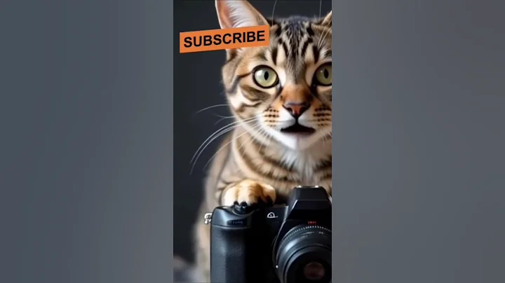 Watch the video about Kittoo