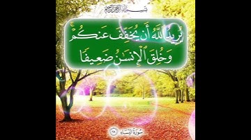 سورة النساء الآية ( 28 )
