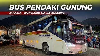 CHEAP, Unique Route, Drop-off RIGHT AT THE BASECAMP!! Sinar Jaya Bus Jakarta - Wonosobo via Teman...