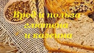 Вред и польза глютена и казеина Вред и польза глютена и казеина