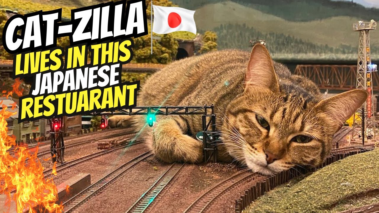 Wonderful Cat Diorama Restaurant in Osaka | ジオラマ食堂 - YouTube
