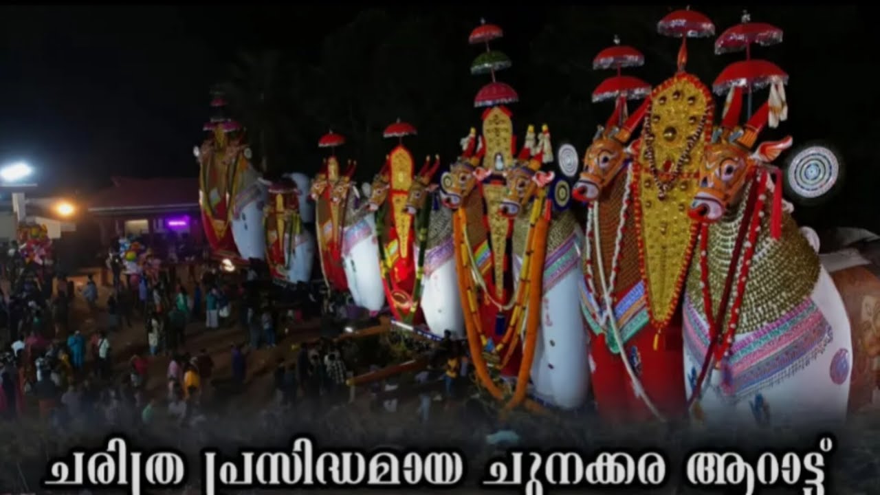 ചുനക്കര ആറാട്ട് വ്ലോഗ്! ✨🙏