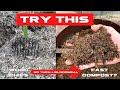 Compost Wood Chips Quickly - Add Nitrogen, No Turn - TRIAL START