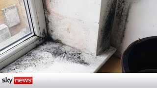 Mould and damp complaints on the increase in private and social housing