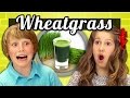 KIDS vs. FOOD #11 - WHEATGRASS SHOTS