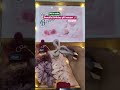 beautiful gift hamper for girls at affordable price #viral #giftideas #gift #trending #partygift
