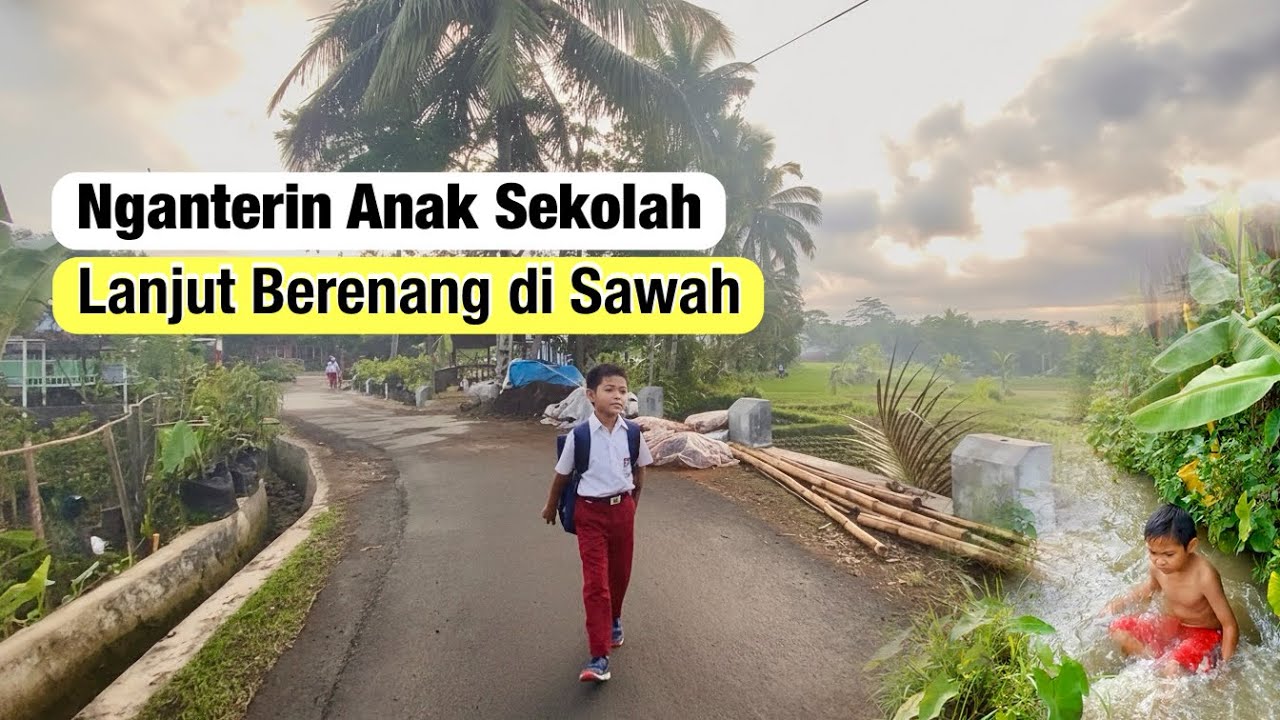 Hidup Sederhana di Tasikmalaya: Nganter Anak Sekolah & Berenang di Pinggir Sawah yang Asri dan Hijau