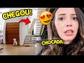 CHEGOU O CLOSET DAS MENINAS