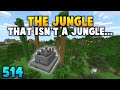 My Jungle That Isn't A Jungle (514)