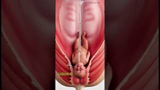 Healthy Pregnancy &amp; Normal Delivery Tips | Positive Birth Preparation#babyplanning  #pregnant