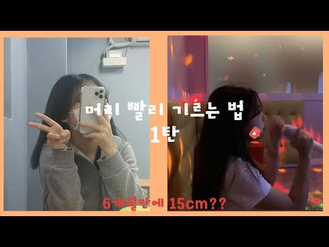   TMI 머리카락이 6개월에 15cm나 자랐다고 머리카락 빨리 기르는 방법 1탄 돈 필요없음 미장센 에센스 내돈내산