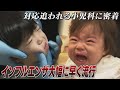 【密着】ワクチン注射に子どもは涙なみだ…　小児科は大忙し、インフルエンザ接種に四苦八苦