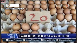 Harga Telur Turun Di Malang Namun Penjualan Ikut Lesu, Harga Cabai Di Makassar Masih Mahal