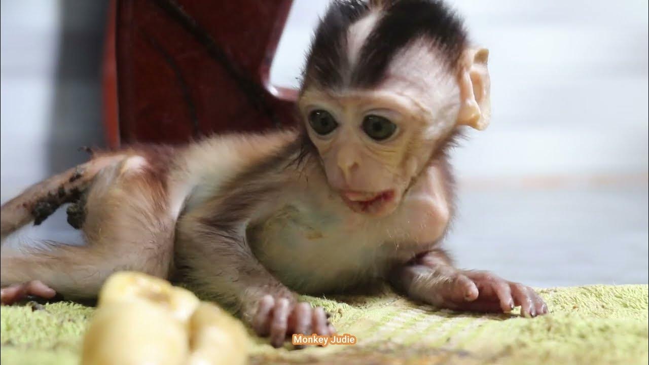 sad Ting Ting YouTube sad-ting-ting-youtube