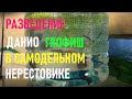 Разведение ДАНИО ГЛОФИШ в пятилитровой пластиковой банке. Самодельный нерестовик для ДАНИО.