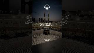 Surah Nuh Ayat 28 Dua for Parents Soothing Quran Recitation by Badr Turki #qurandaily