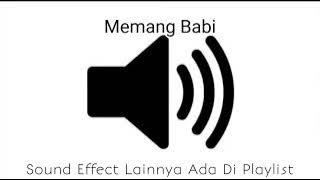 Sound Effect Memang Babi