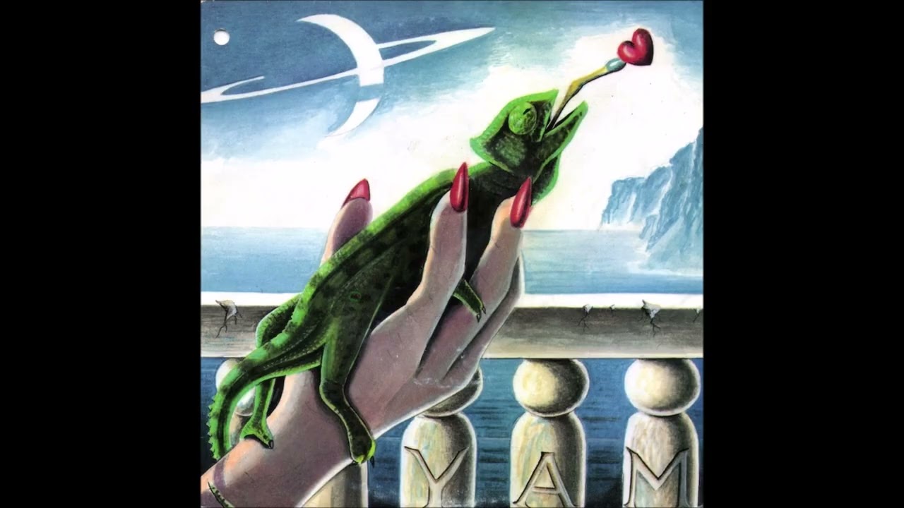 YAM – You Took My Heart (7-inch Single) - Vinyl recording HD