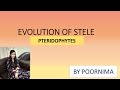 Evolution of stele||Pteridophytes||By Poornima Ma&#39;am