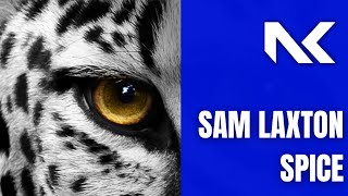 Sam Laxton - Spice