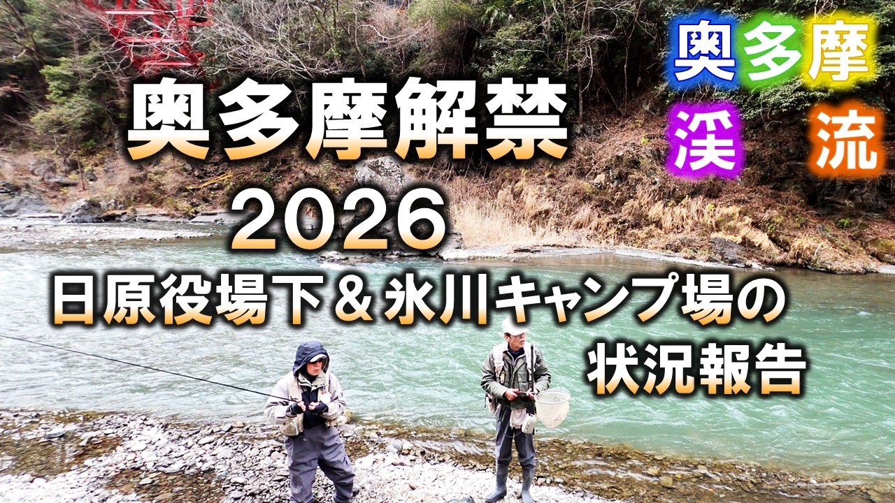 奥多摩解禁2026 奥多摩川上流域には３月１日に成魚放流がされています。その残りに期待して日原役場下と氷川キャンプ場に入渓しました。2026/3/2