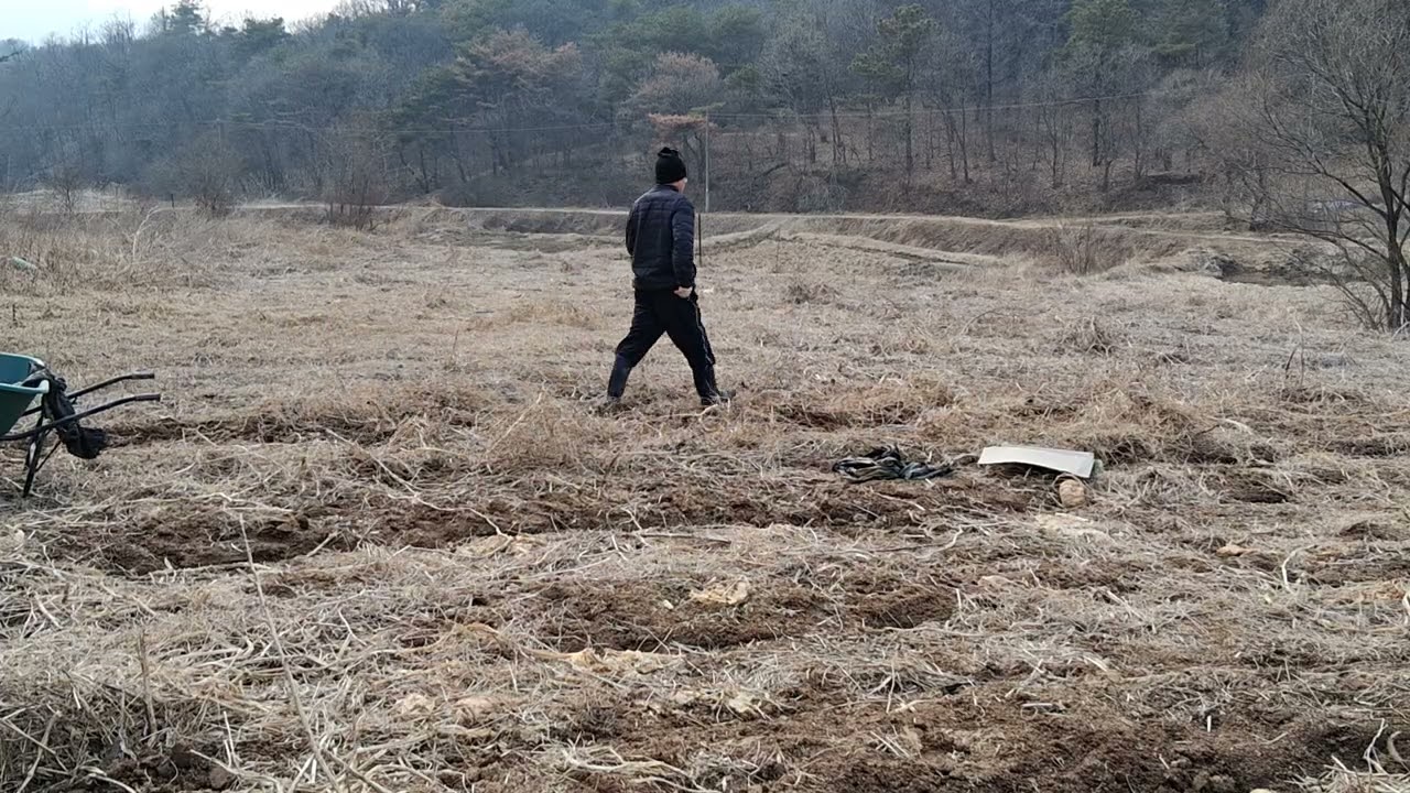 농사 준비:비닐 걷어 내기
