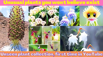 10 Unusual plants you won