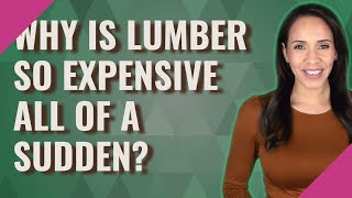 Why is lumber so expensive all of a sudden?
