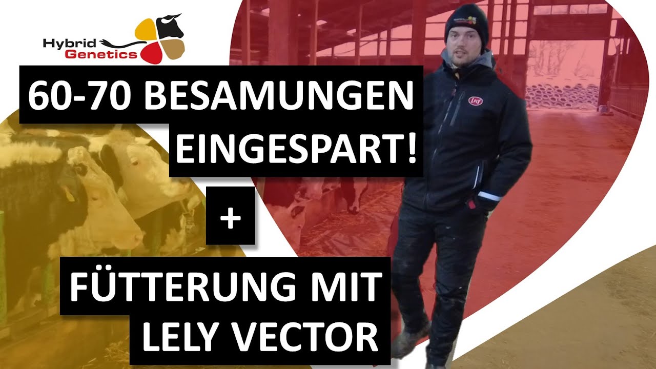 Innovativer Milchviehbetrieb: Melkhoff Callsen nutzt seit drei Jahren die Vorteile der Hybridzucht