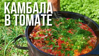 Жареная камбала в томате