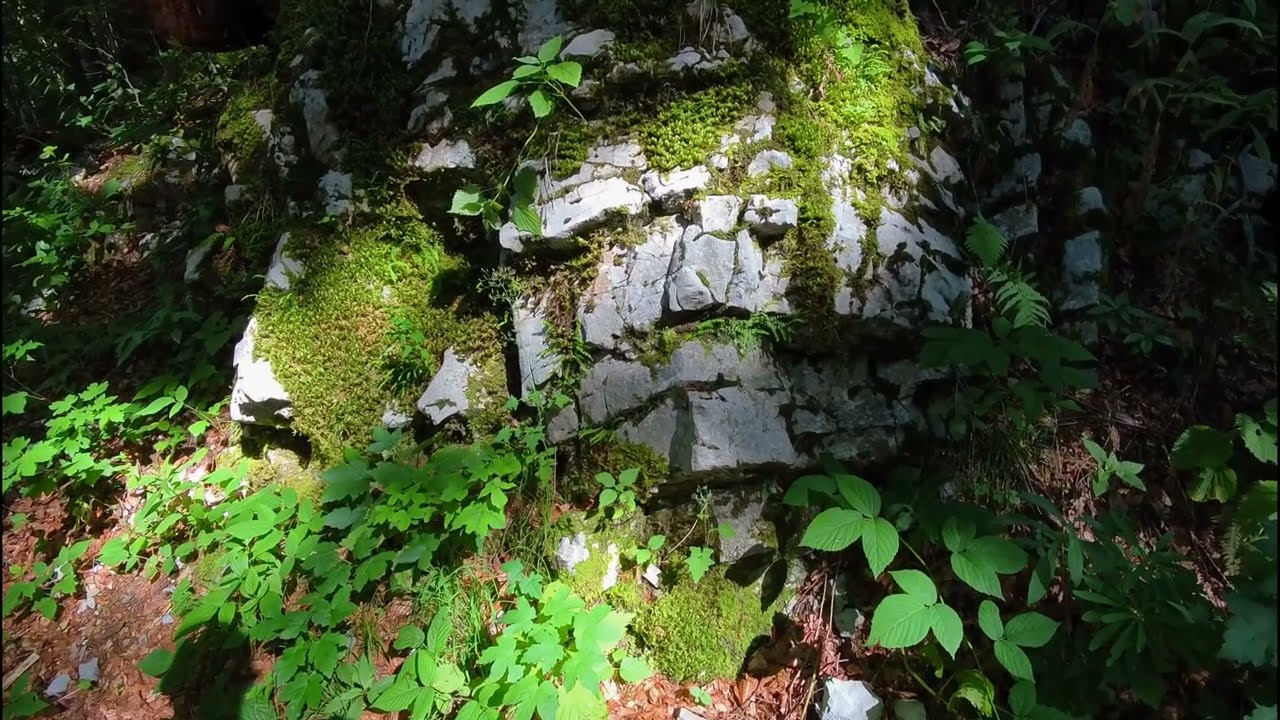 Uspon na Veliki Risnjak