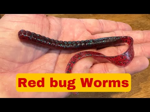 When A Redbug Colored Worm Outperforms All Other Colors…. 