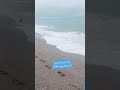 يرجى توخي الحذر استمرار الاضطراب البحري يرجى توخي الحذر استمرار الاضطراب البحري
