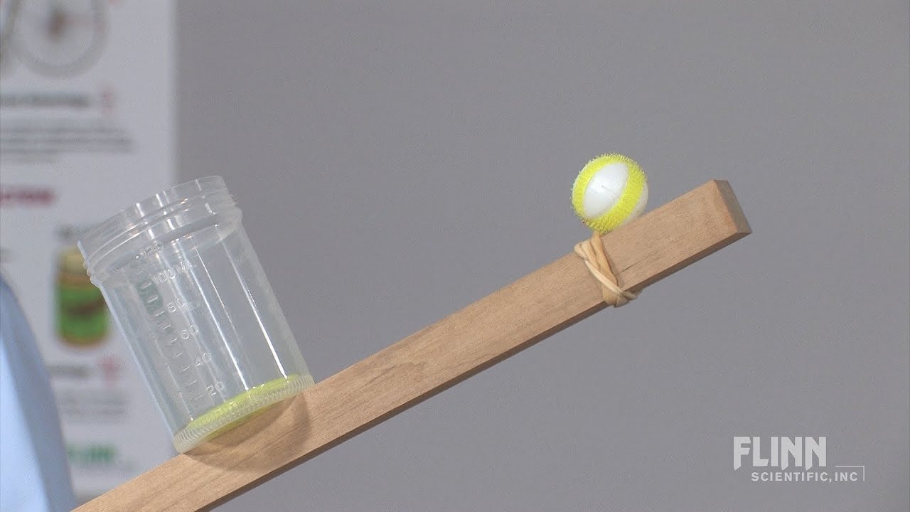 Galileo's Paradox Hinged Stick vs. Falling Ball Demonstration YouTube