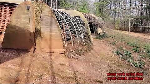 Tsev Qaib Puas Tas Lawm Mus Kho Tsev Qaib  3/12/2023