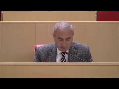 სიმონ ნოზაძემ პლენარულ სხდომაზე კითხვა დასვა სურამის განვითარების გეგმასთან დაკავშირებით
