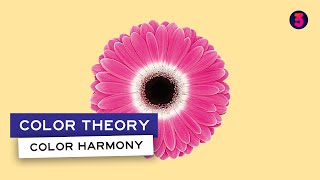 Color Theory: Color Harmony