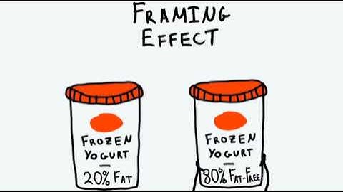 Framing Effects (Fourfold Risk Pattern)