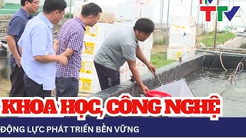 Khoa học, công nghệ và đổi mới sáng tạo – động lực phát triển bền vững | NSTH
