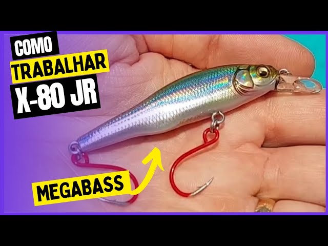 Megabass X-80 Jr. Sonho de muitos! Pescaria de robalo, tucunaré amarelo,  azul, matrinxã. 