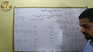 اللغه المصريه القديمه الجزء ٤ (الاسم في الهيروغليفي )