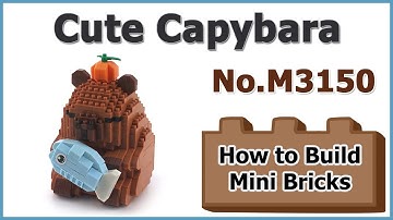 How to Build Mini Blocks Capybara M3150 Review Instructions Specifications