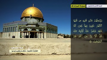 عاهد زينو سورة المجادلة الى سورة التحريم