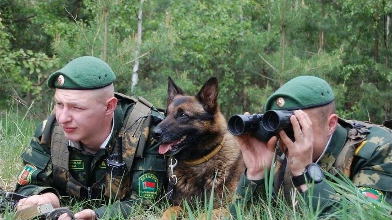 Пограничник пробуждение. Пограничник с собакой. Российские пограничники. Пограничная служба собак. Пограничные войска.