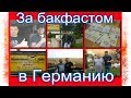 За бакфастом🐝Весенний круиз в Германию за зимовалыми матками