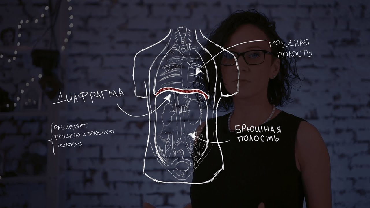 Чувствуешь как голосом. Упражнения по постановке голоса. Постановка голоса для вокала. Упражнения для диафрагмы вокал. Диафрагма в пении.