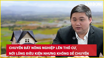 Chuyển đất nông nghiệp lên thổ cư, nới lỏng điều kiện nhưng không dễ chuyển | Báo Lao Động
