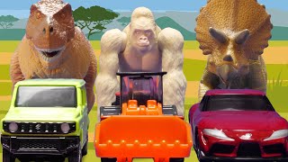 【公式】恐竜たちを怒らせた！逃げろ！アニア 動物 恐竜 トミカ  ストップモーションアニメ Ania Animal Dinosaur Stop motion【親子で楽しくあんしん！タカラトミーキッズ】